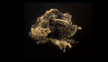 Untitled Design (10)