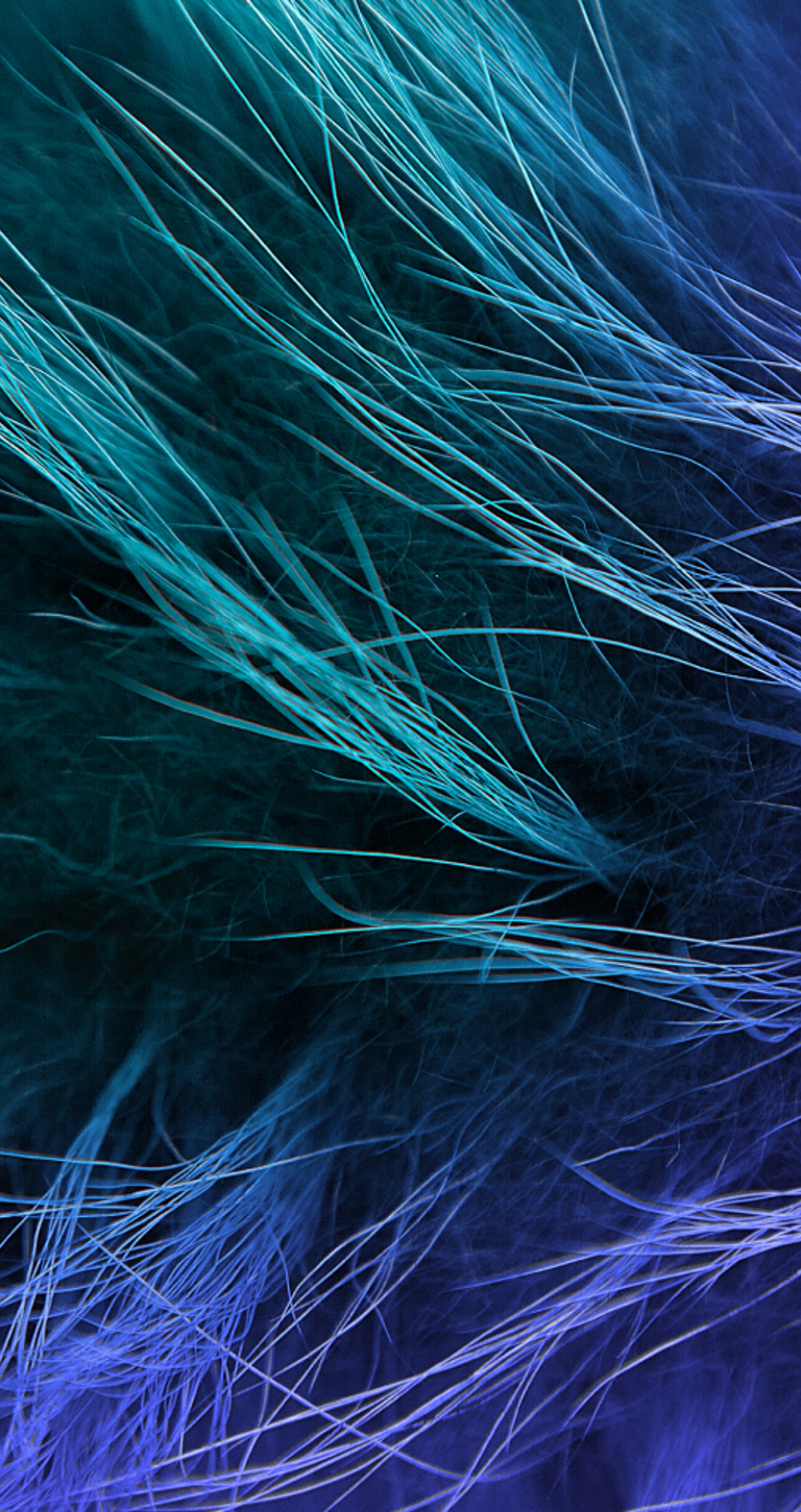 We Ve Got The Fur Coat AND The Knickers Banner