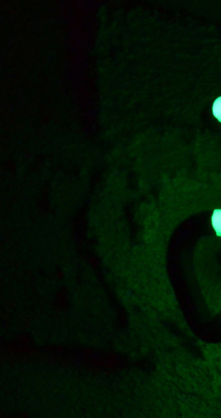 The Art Of Hashtags Banner